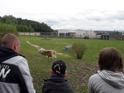 500 Treffen 2017 Tag2